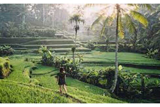 Private Tour:Kintamani Volcano Tour With Entrance Ticket & Hotel Transfer - The Sum Up
