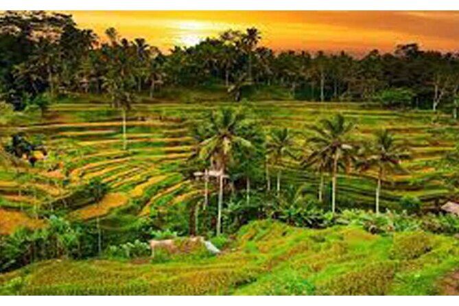 Private Tour:Kintamani Volcano Tour With Entrance Ticket & Hotel Transfer - FAQ