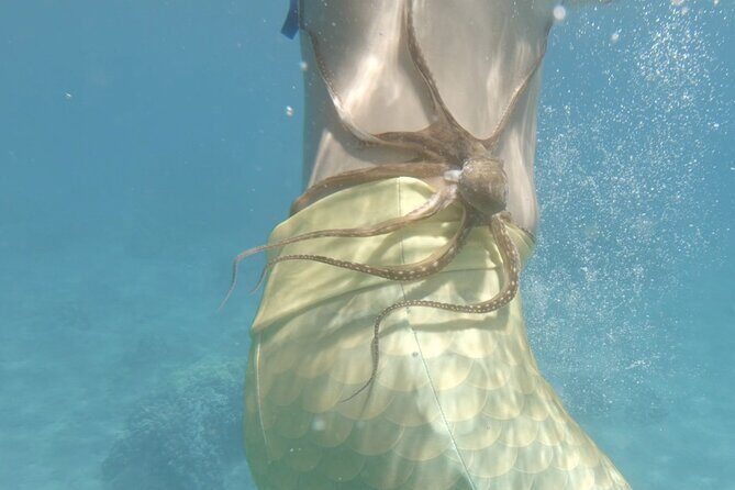 Private Tours Beach Entry - Sea Scooters Guided with videos - What to Expect from Your Maui Sea Scooter Tour