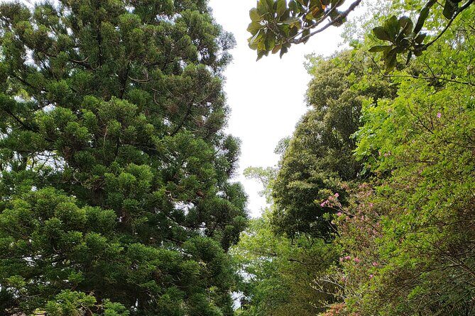 Private Tours Best spots (views) in So Miguel Island - FAQs