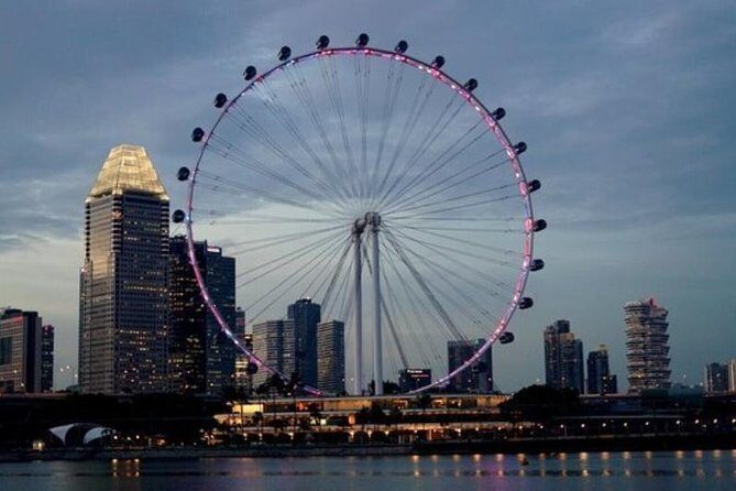 Private Tour:Singapore National Museum and Singapore Flyer and Ducktour - Key Points