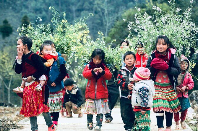 Private Transfer Between HANOI - SAPA (Danny Phan Travel) - Final Thoughts: Is It Worth It?