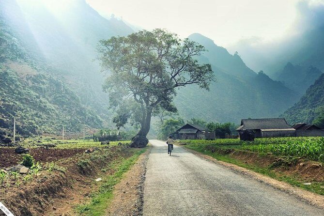 Private Transfer Between Lao Cai Train Station and Sapa Town - Why Choose This Private Transfer?