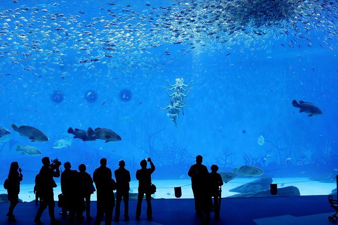 Private Transfer between Shanghai Haichang Ocean Park and City Center - A Practical Guide to Your Transfer and Park Visit
