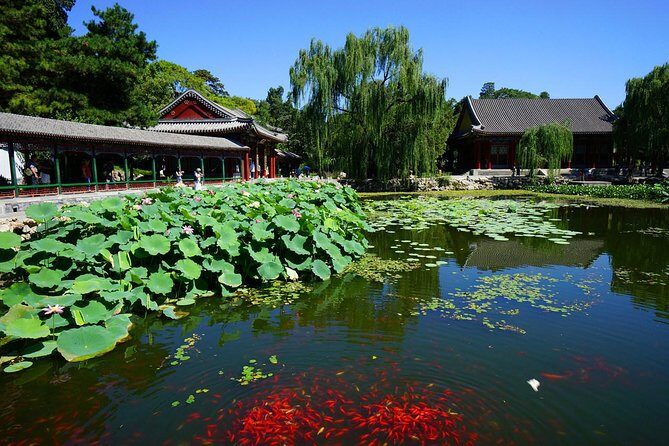 Private Transfer between Summer Palace and Beijing City Hotel - What the Tour Includes and What to Keep in Mind