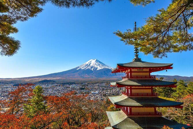 Private Transfer between Tokyo and Lake Kawaguchi/Mt. Fuji/Hakone - What You Can Expect on Your Journey