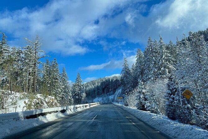 Private Transfer Between Vancouver Airport and Vancouver Cruise - Final Considerations: Is It Worth It?