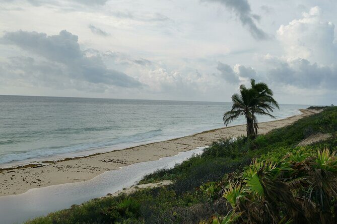 Private Transfer-Cancun Airport-Playa del Carmen One Way - Pricing and Value