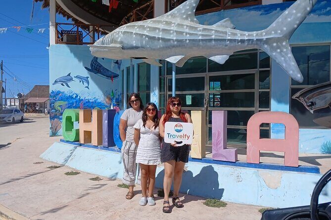 Private Transfer Cancun Airport to Chiquilá Holbox Ferry - An In-Depth Look at the Cancun to Holbox Transfer Experience