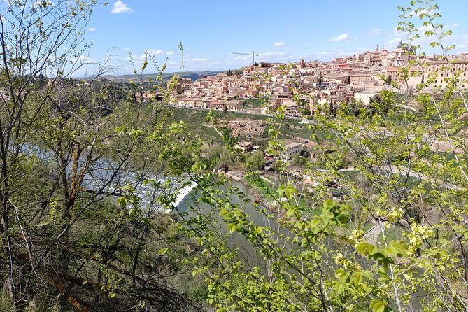 Private Transfer Car with driver from Madrid to Airport - The Vehicle and Luggage Capacity