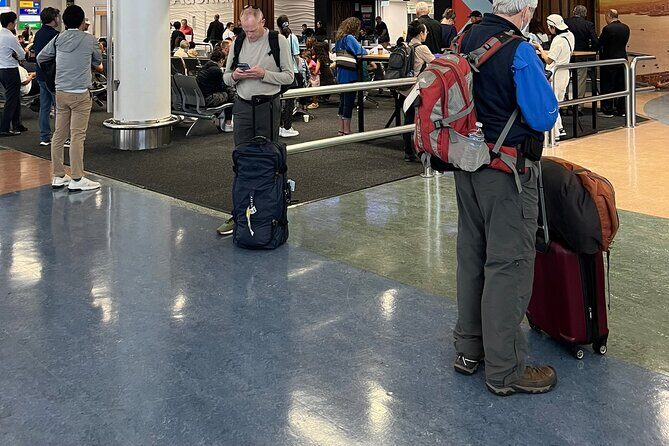 Private Transfer From Auckland Airport To Cambridge - An In-Depth Look at the Transfer from Auckland Airport to Cambridge