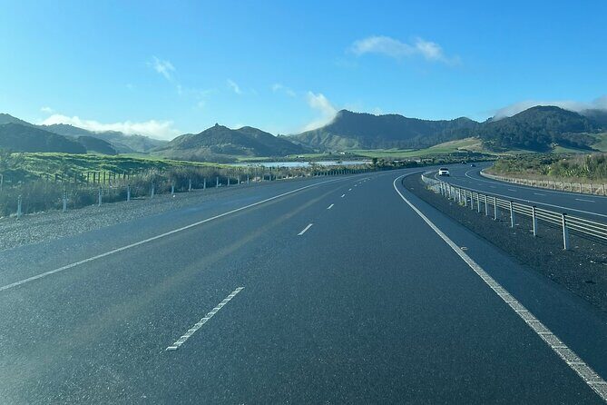 Private Transfer From Auckland Airport To Hamilton - Who Benefits from This Service?