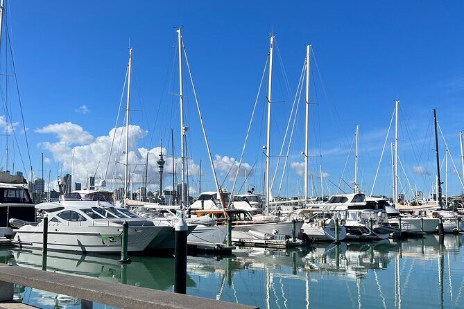 Private Transfer From Auckland Airport To Hibiscus Coast - FAQs