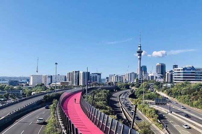 Private Transfer From Auckland Domestic Airport To Auckland City - Arrival and Meet-and-Greet