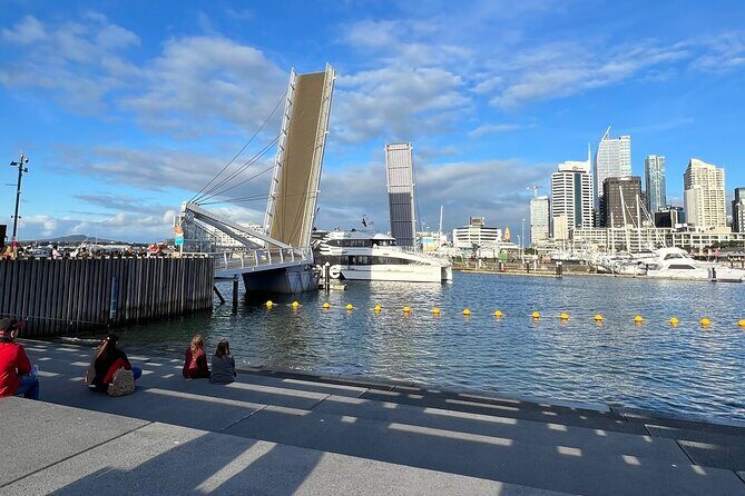 Private Transfer From Auckland Domestic Airport To Auckland City - The Ride