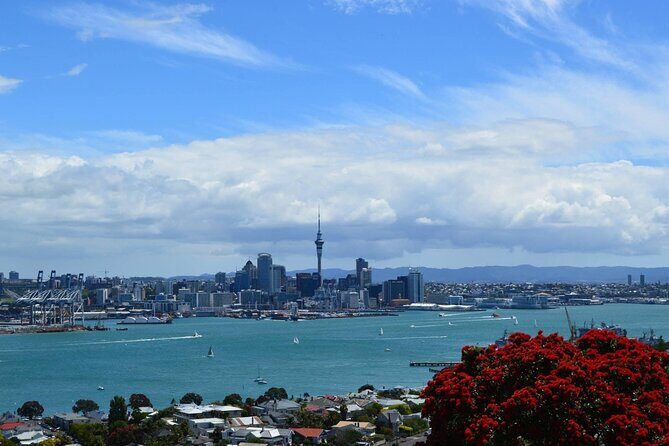 Private Transfer From Auckland Domestic Airport To Auckland City - The Overall Experience