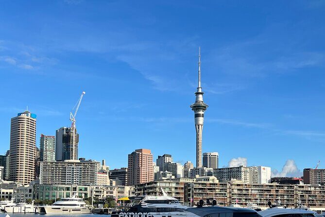 Private Transfer From Auckland Domestic Airport To Auckland City - Why Choose This Transfer?