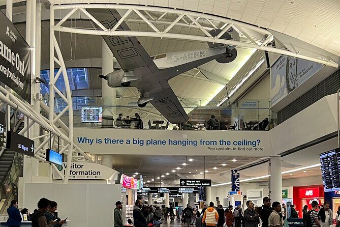 Private Transfer From Auckland International Airport To Auckland City - What Makes This Transfer Stand Out?