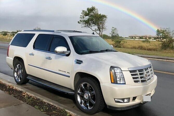 Private Transfer from Auckland Port to Auckland Airport (AKL) - Who Is This Service Best For?