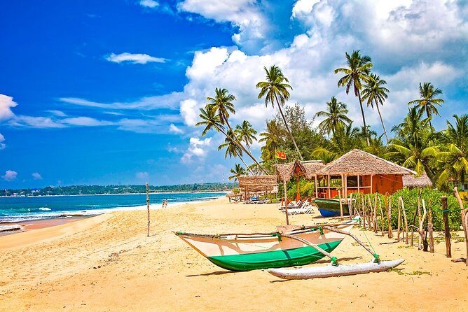 Private Transfer from Avukana to Sri Lanka Colombo (CMB) Airport - Practical Tips for Travelers