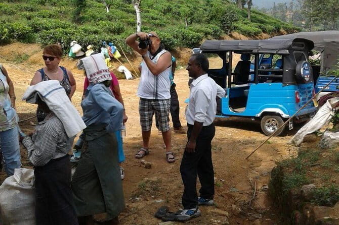 Private Transfer from Badulla to Sri Lanka Colombo Airport (CMB) - Insights From Travelers