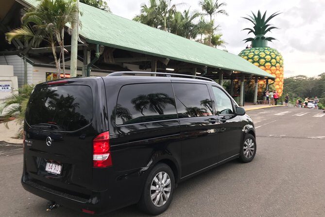 Private Transfer from Brisbane Airport to Noosa for 1 to 3 people - Who Is This Transfer Perfect For?