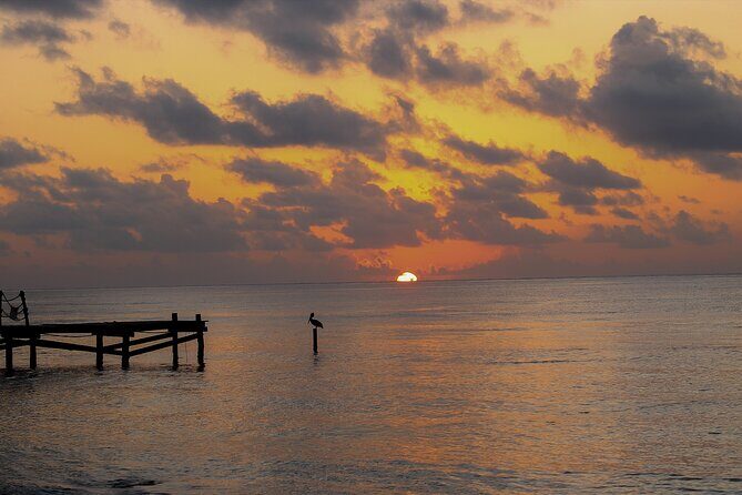 Private Transfer From Chiquila to Playa del Carmen, English Speaking Driver - FAQs About This Transfer Service