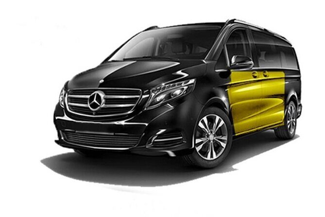 Private transfer from cruise port to sants station - What the Service Offers