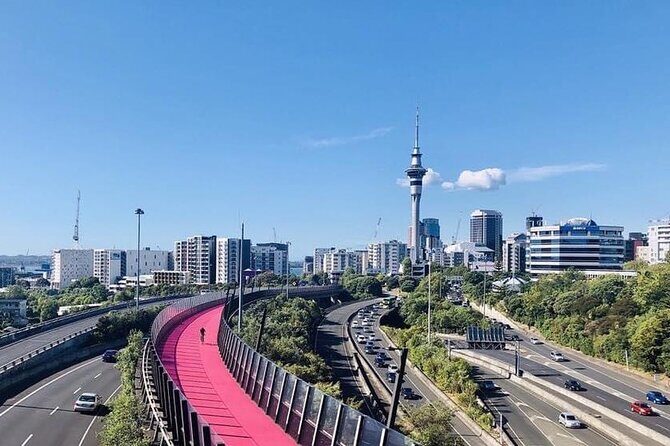 Private Transfer From Cruise Ship To Auckland CBD Hotels - FAQ