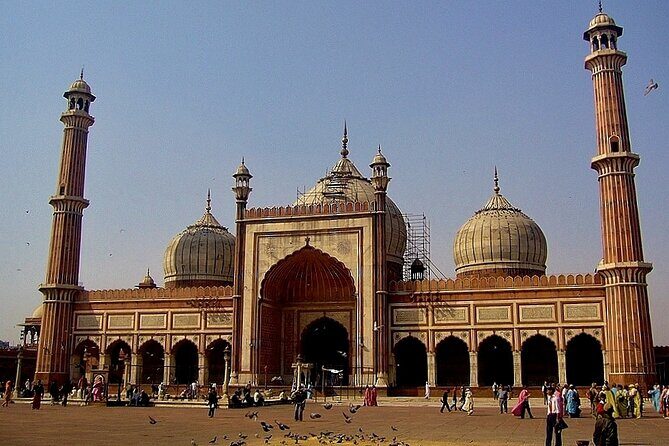 Private Transfer From Delhi Airport to Hotel in New Delhi - The Real Traveler Insights: Strengths and Considerations