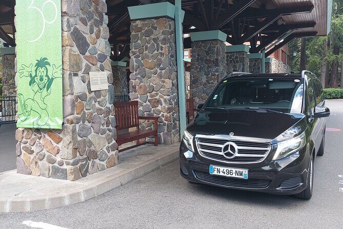 Private transfer from DisneyLand Paris to CDG or ORY airport - Who Will Love This Service?
