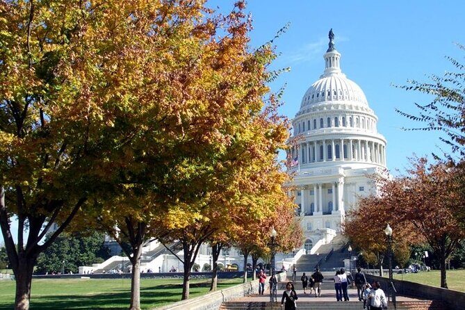 Private Transfer from Dulles Intl Airport to Washington DC - Final Thoughts: Who Should Book This?