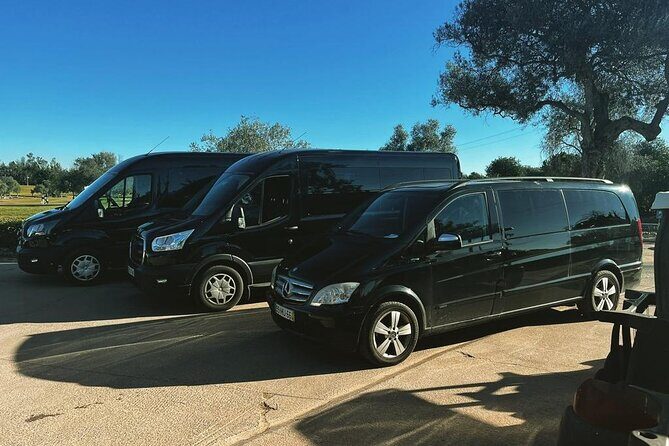 Private Transfer from Faro Airport to Pine Cliffs Hotel (4-8 pax) - What to Expect on the Day