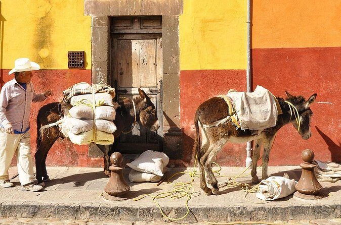 Private Transfer from Guanajuato City to San Miguel de Allende - FAQs