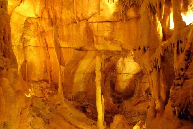 Private Transfer from Lisbon to Porto with Sightseeing Tour - Who Will Love This Experience?