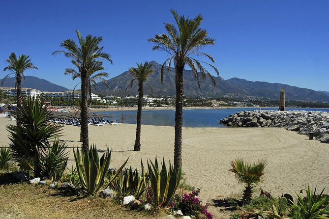Private Transfer from Malaga airport (AGP) to Fuengirola - Key Points