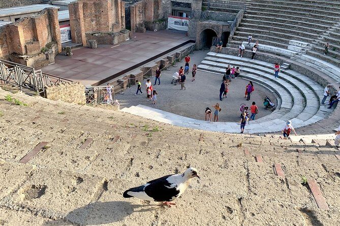 Private transfer from Naples to Positano with tour stop in Pompeii (2 hours) - Final Thoughts