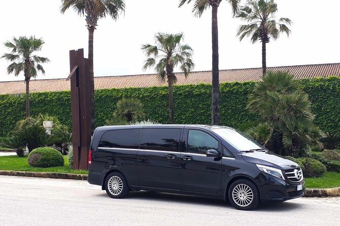 Private Transfer from Palermo Airport to Your Hotel in Cefalu - Key Points