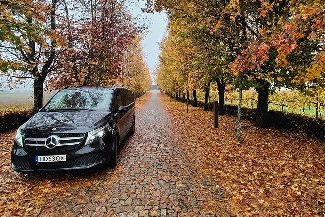 Private Transfer from Porto to Lisbon - Key Points