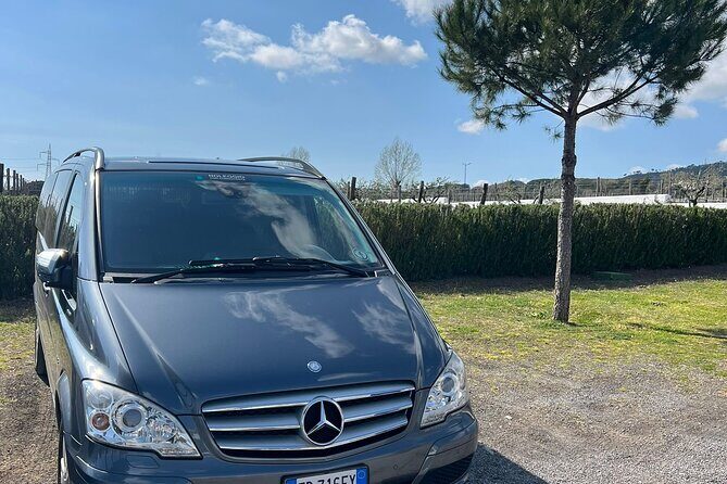 Private Transfer from Positano to Naples Airport - Why This Transfer Is Worth Considering