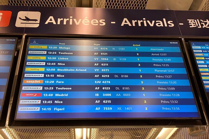 Private Transfer from Roissy CDG Airport to Disneyland Paris - The Sum Up