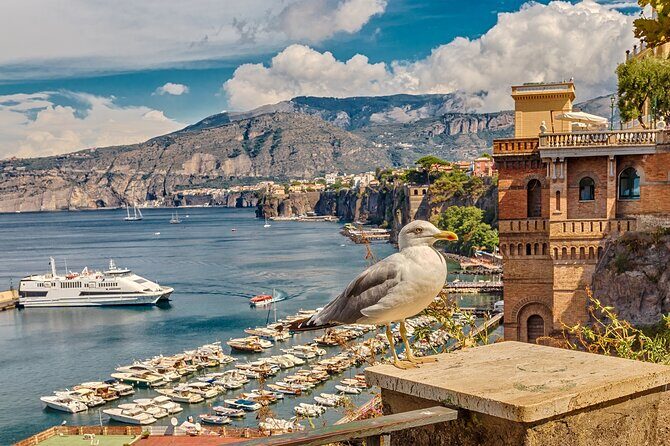 Private transfer from Rome to Sorrento - FAQs