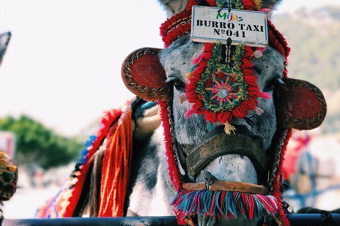 Private Transfer from San Miguel de Allende to Mexico City - Cost and Value for Money