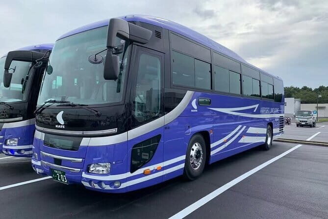 Private Transfer from Sendai Airport to Sendai City - Final Thoughts