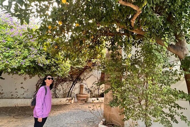 Private Transfer from Sevilla to Granada stopping in Ronda - Who Should Consider This Tour