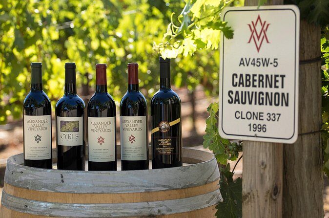 Private transfer from SFO to Sonoma - The Sum Up: Who Should Book This?