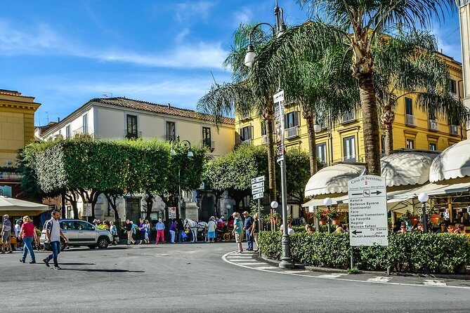 Private Transfer from Sorrento or Amalfi coast to Naples or vice versa - Key Points