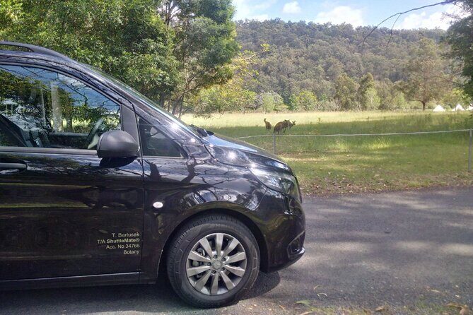 Private Transfer FROM Sydney CBD to Sydney Airport 1 to 5 people - Authentic Traveler Feedback & What Sets It Apart