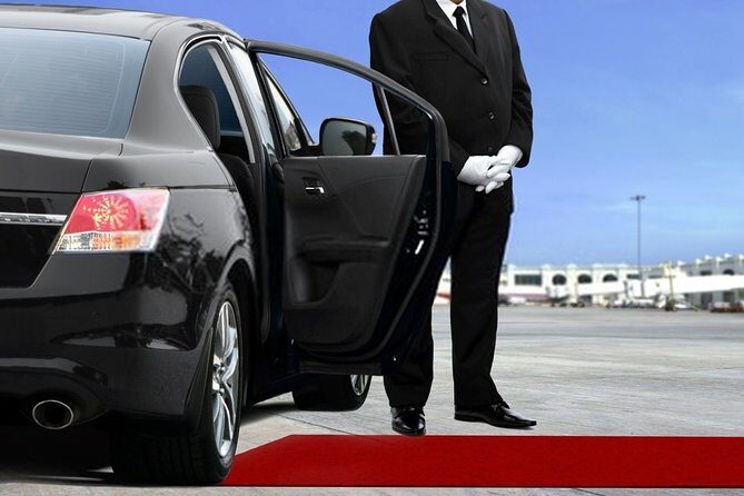 Private Transfer from The Hague City to Schiphol Airport - Overview of the Transfer Experience