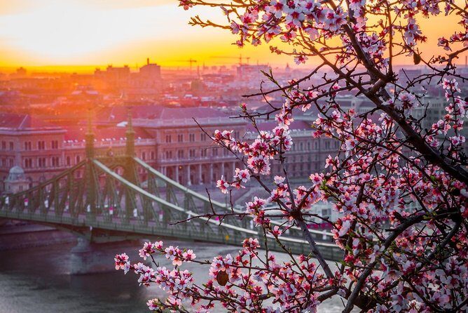 Private Transfer from Vienna to Budapest with 2 hours for sightseeing - Who Will Appreciate This Experience Most?